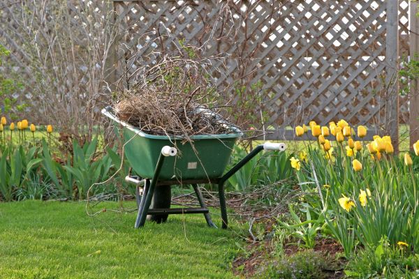 Flower Bed Cleanup Service in Lawrenceville