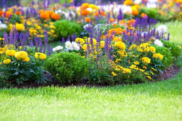 Flower Bed Maintenance in Lawrenceville