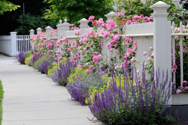 Garden Handyman Service in Lawrenceville