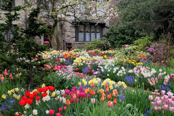 Garden Maintenance Service in Lawrenceville