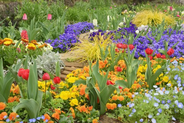 Garden Renovation in Lawrenceville