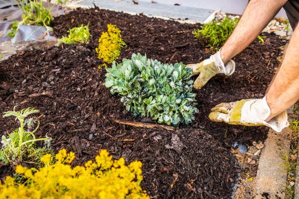 Weeding And Mulching in Lawrenceville