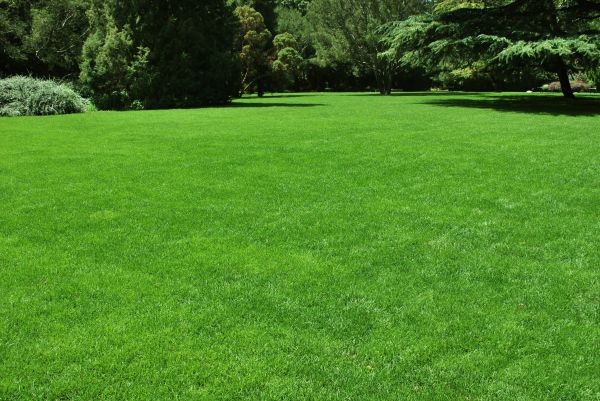 Lawn Landscaping in Lawrenceville