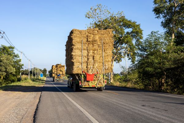 Pine Straw Delivery in Lawrenceville