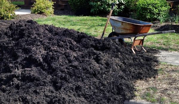 Black Mulch Delivery in Lawrenceville