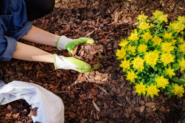 Garden Mulching in Lawrenceville