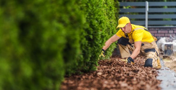 Cypress Mulch Installation in Lawrenceville