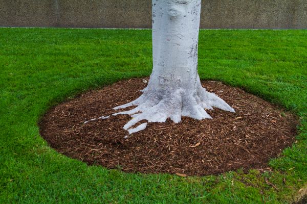 Brown Mulch Installation in Lawrenceville