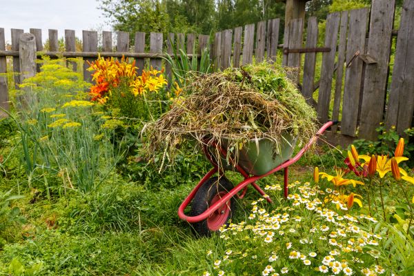 Garden Cleanup Service in Lawrenceville