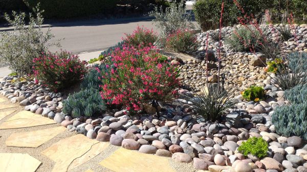 Xeriscape Landscaping in Lawrenceville