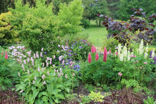 Flower Bed Planting in Lawrenceville