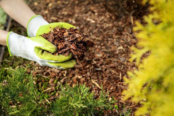 Garden Mulch Delivery in Lawrenceville
