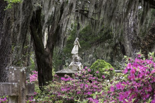 Cemetery Landscaping in Lawrenceville
