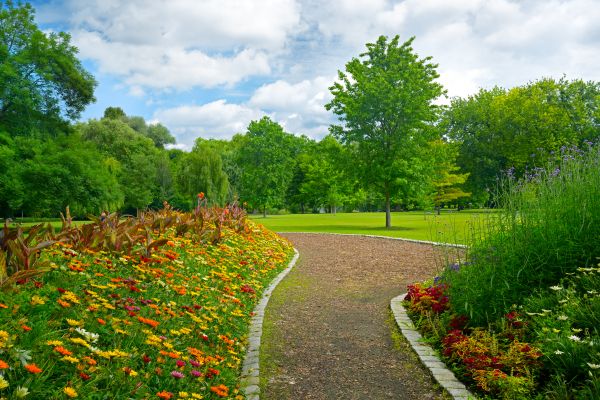 Park Landscaping in Lawrenceville
