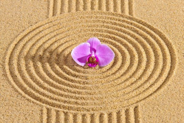 Sand Garden Landscaping in Lawrenceville