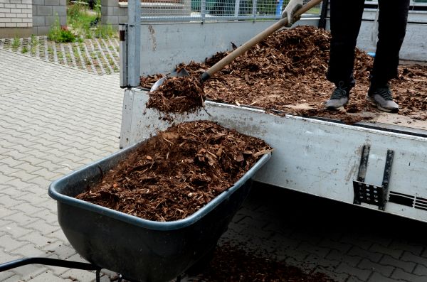 Cypress Mulch Delivery in Lawrenceville