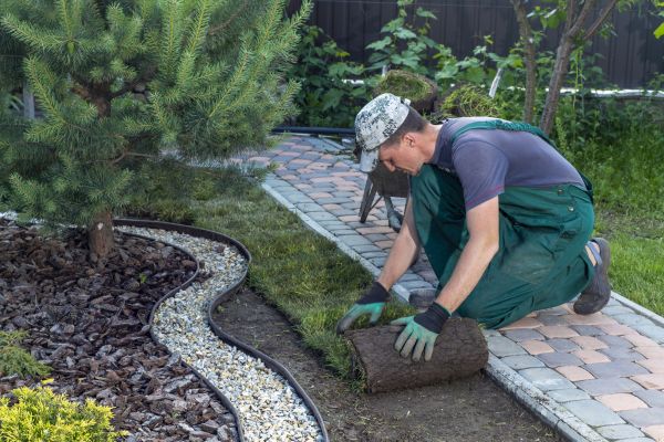 Landscaping Modification Service
