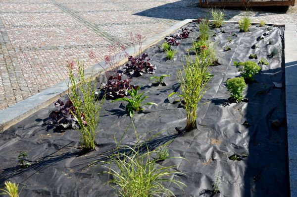 Landscape Fabric Installation in Lawrenceville