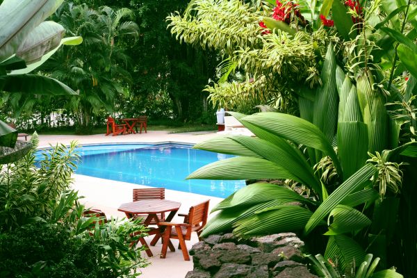 Pool Area Landscaping in Lawrenceville