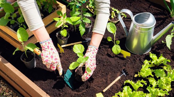 Garden Bed Installation in Lawrenceville