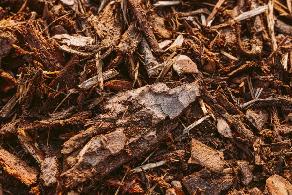 Bark Mulch Delivery in Lawrenceville