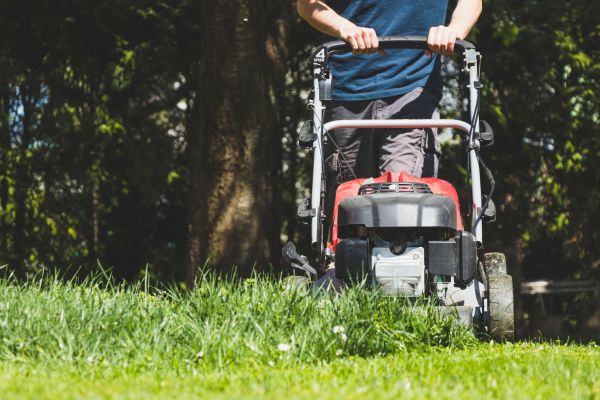 Garden Trimming Service in Lawrenceville