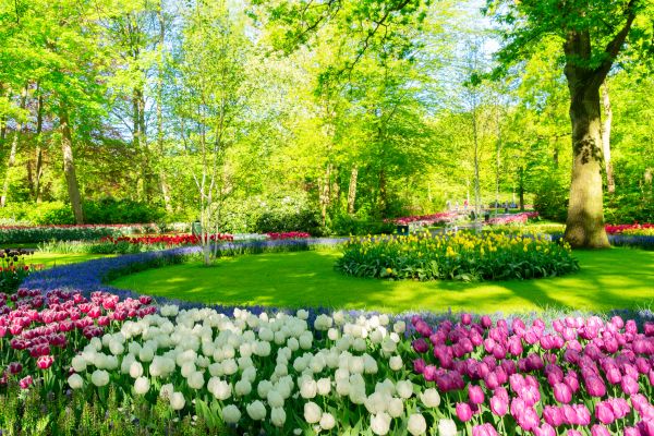 Flower Landscaping in Lawrenceville