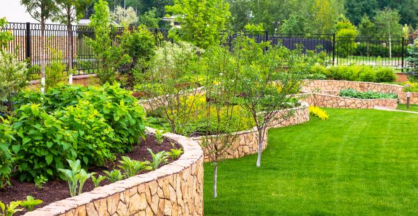 Yard Makeover Service