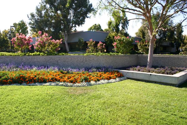 Commercial Landscape Service in Lawrenceville