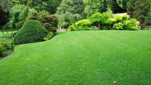 Commercial Landscape Design in Lawrenceville