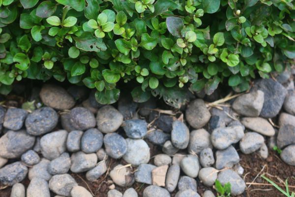 River Stone Installation in Lawrenceville