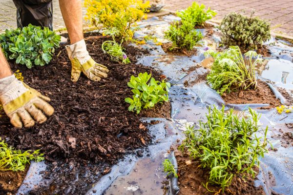Mulch Fabric Installation in Lawrenceville