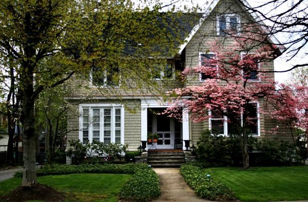 Ornamental Tree Planting in Lawrenceville