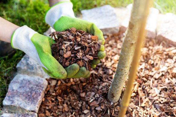 Tree Bark Delivery in Lawrenceville