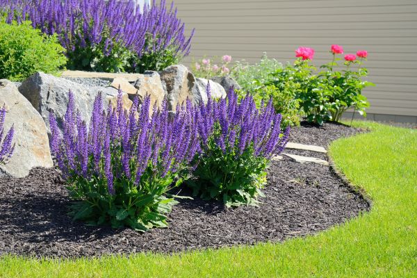 Landscape Planting Service in Lawrenceville
