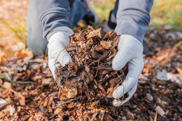 Shredded Mulch Installation in Lawrenceville