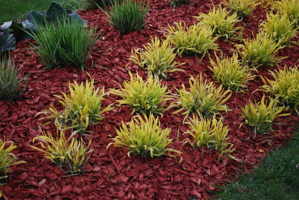 Red Mulch Installation in Lawrenceville