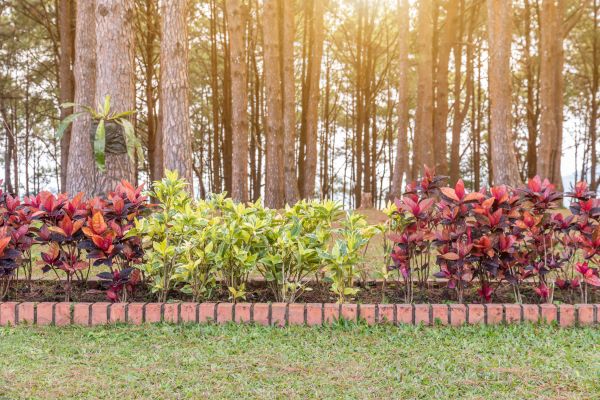 Small Garden Landscaping in Lawrenceville