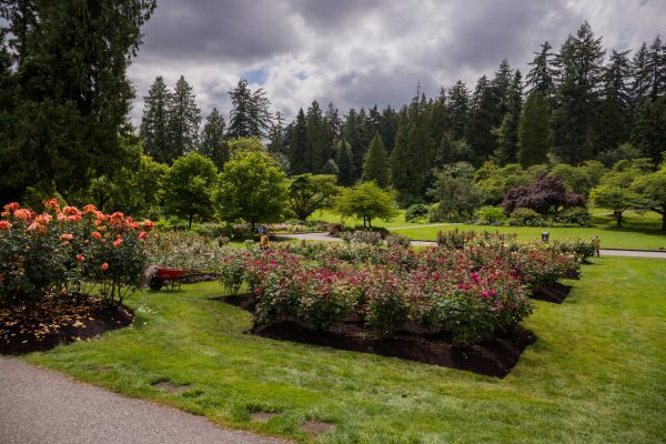 Flower Garden Landscaping in Lawrenceville