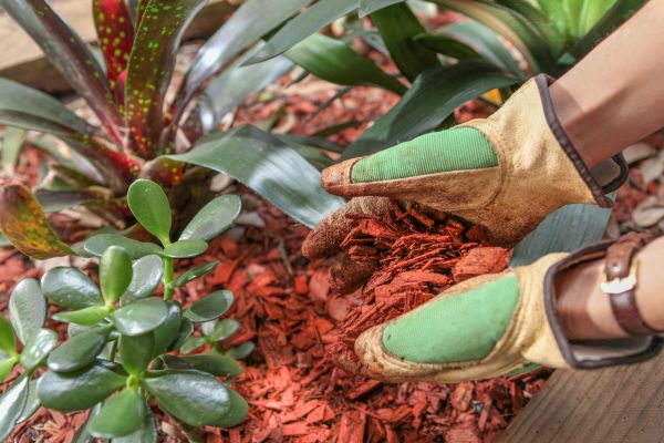 Residential Mulching in Lawrenceville