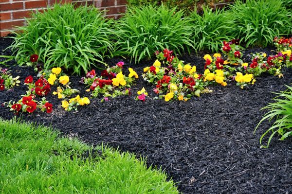 Apartment Mulching in Lawrenceville