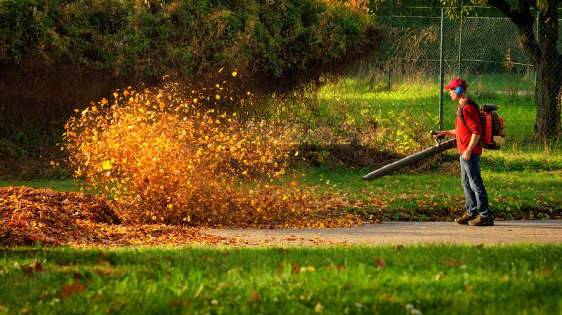 Fall Leaf Removal in Action