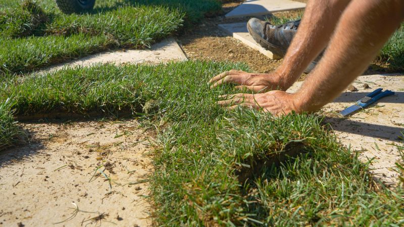 Lawn Rut Repair
